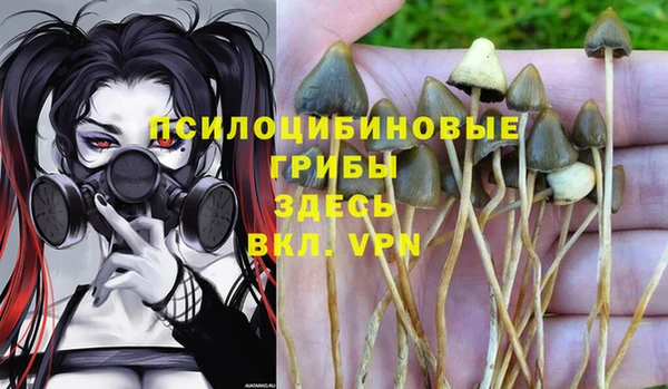 таблы Арсеньев