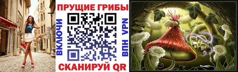Псилоцибиновые грибы прущие грибы  хочу   Сосновый Бор 